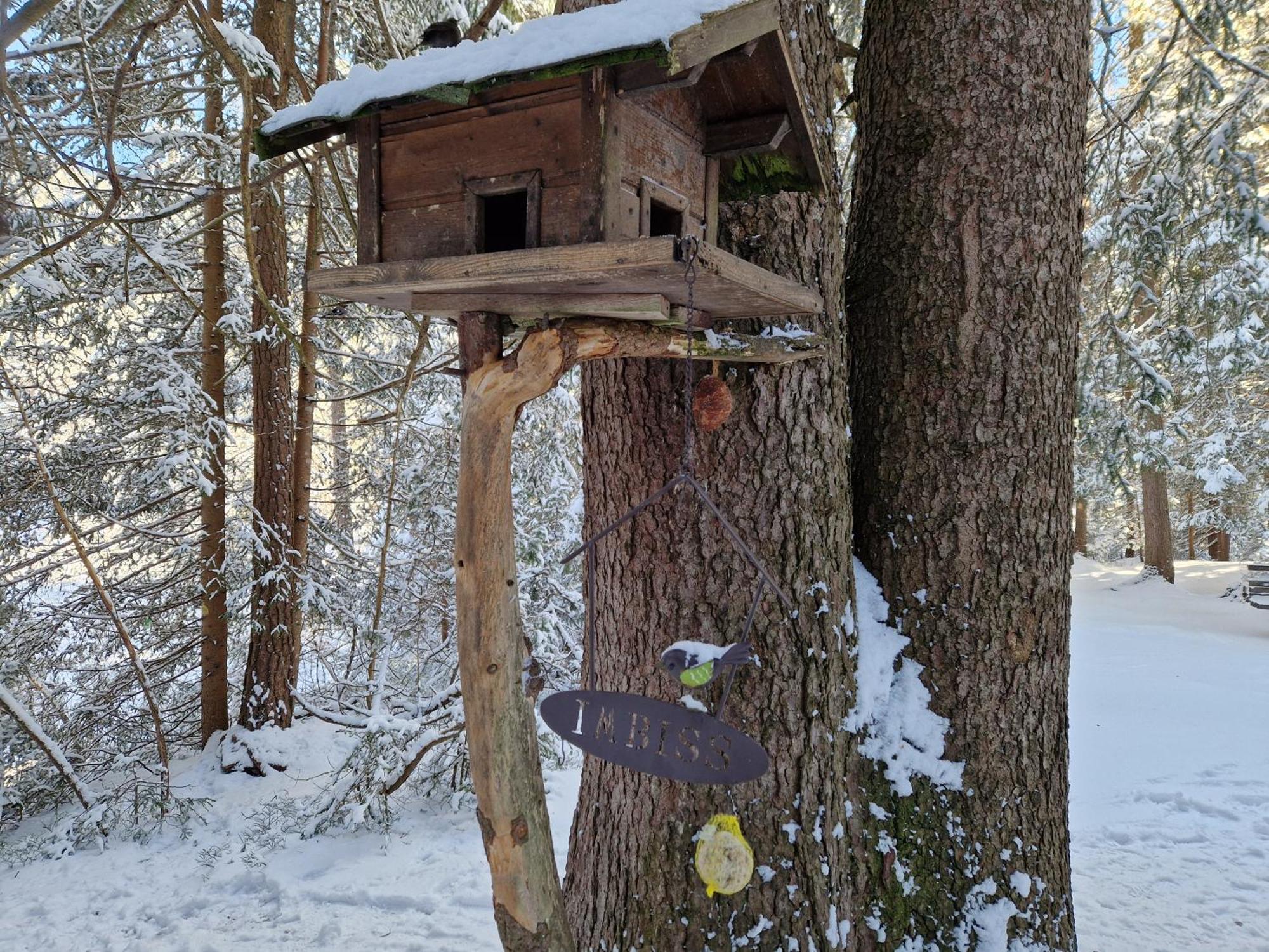 Wohlfuehl-Appartement Bergsee Family - Am Wildsee - Sup Und Schlitten For Free Seefeld in Tirol Dış mekan fotoğraf